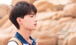 薄荷之夏电视剧,青春校园的甜蜜邂逅与成长之旅